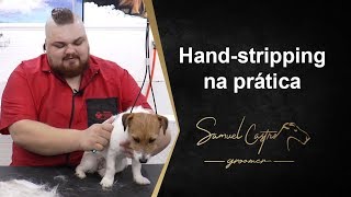 Handstripping na prática  SAMUEL CASTRO