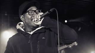 Elzhi - Best Freestyles