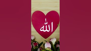 beautiful islamic status #سورة_الإخلاص #ikhlas #beautiful #quran #love #nature