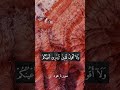 ولا أقول أني ملك القارئ الشيخ عبد الباسط عبد الصمد     قرآن