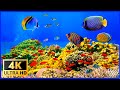 The Best 4K Aquarium for Relaxation 🐠 Relaxing Piano Music - 3 hours - 4K UHD Screensaver