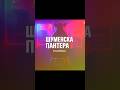 🎤 Шуменска пантера 2 - Последвай ме, за да я чуеш първи🔥 #bgshorts #бг #кючек #чалга  #zinoaimusic