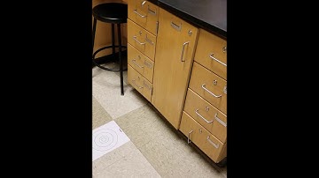 Predict the landing spot