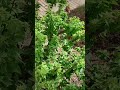 حدثوني عن الجنة حدثوني عن الجنة