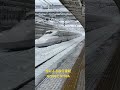大雪により今にも止まりそうな速さで通過する新幹線