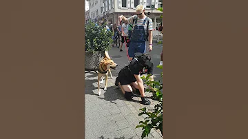 Puppy Benni On German GayPride Karlsruhe 2018 Human Pupplay Humanpupplay Shorts Pupplay 