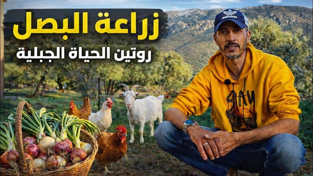  روتين الحياة الجبلية بين الدجاج والماعز و أخيراً زرعت البصل 😍
