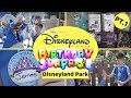 Happy Birthday!! - Part 1 - Celebrating In Disneyland Park Paris - Day 2