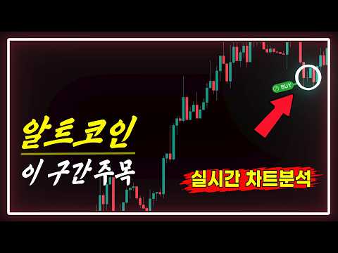 알트코인 지금 이 구간 꼭 보세요 | 실시간 차트분석
