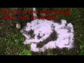 DEER HUNT'N SALT ALTERNATIVE mineral salt/ cheap