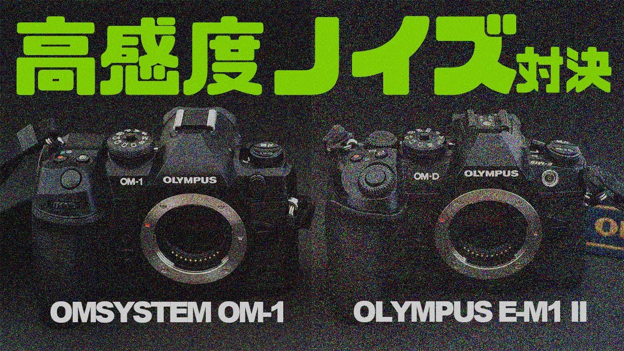 OM-1 vs E-M1 Mark II】高感度ノイズ対決・OMSYSTEM OM-1は高感度性能 