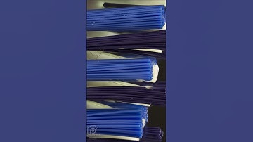 quiz #shorts macro quiz