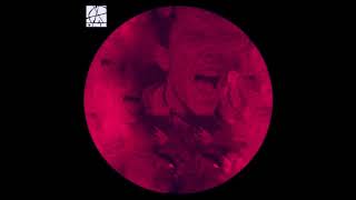 MDNS - La même chose