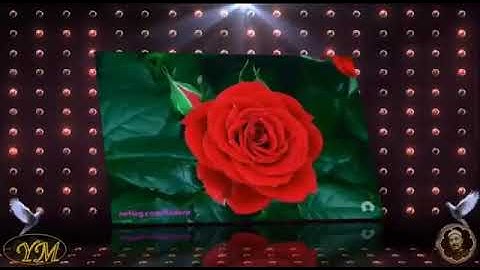 113 Al Falaq الشيخ محمد الطبلاوي  سورة الفلق