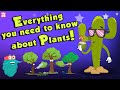Everything You Need To Know About Plants | Source Of Oxygen | The Dr Binocs Show | Peekaboo Kidz