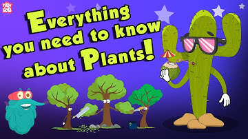 Everything You Need To Know About Plants | Source Of Oxygen | The Dr Binocs Show | Peekaboo Kidz
