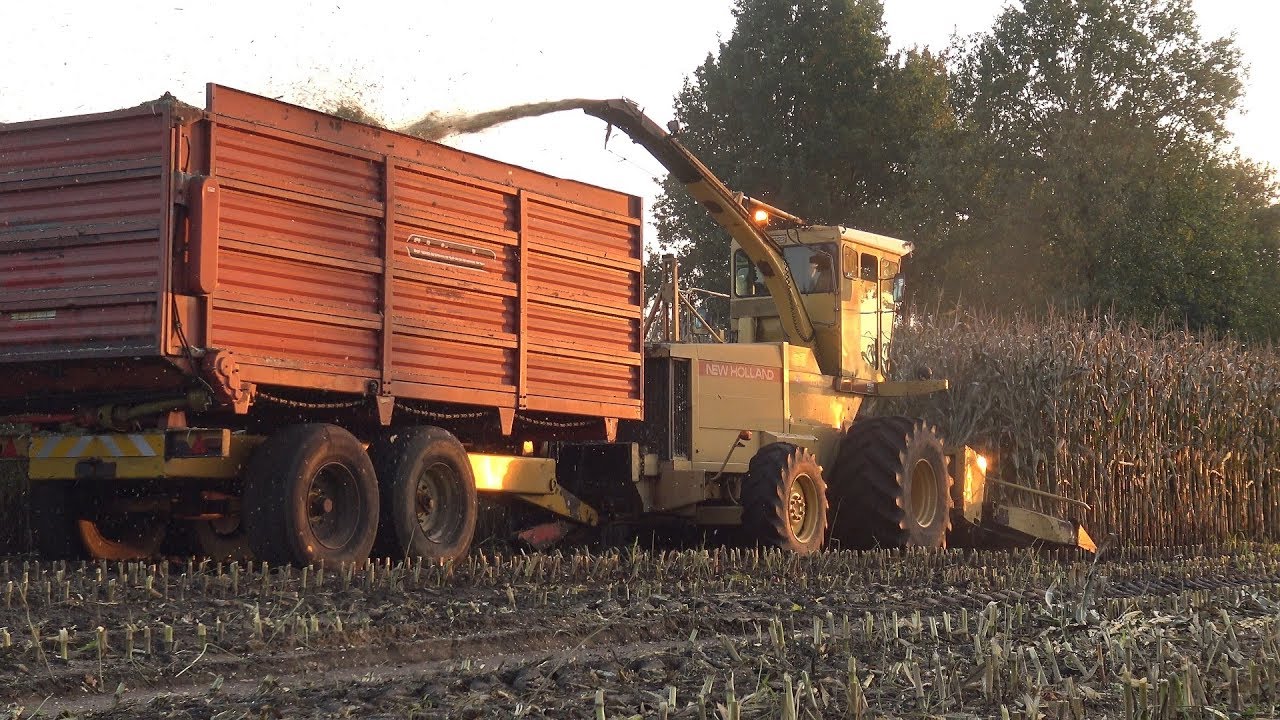 Mais hakselen met de New Holland 1905 - 's avonds de kanten losmaaien (2015)