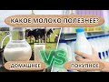 Молоко: польза и вред / Чем полезна молочная продукция?