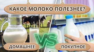 Молоко: польза и вред / Чем полезна молочная продукция?