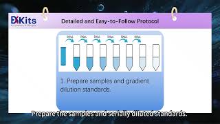 How to Detect Bovine TNF-α? ExKits ELISA Kit Complete Operation Guide#elisa #science
