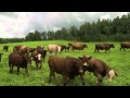 Estate Planning for Farm Families Estate Planning for Farm Families