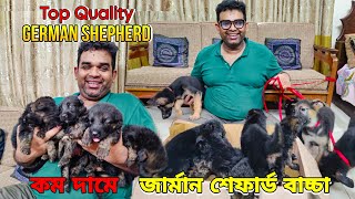 সবচেয়ে কম দামে জার্মান শেফার্ড বাচ্চা_Katabon Animal Market_ Dog Price in Bangladesh_German Shefard