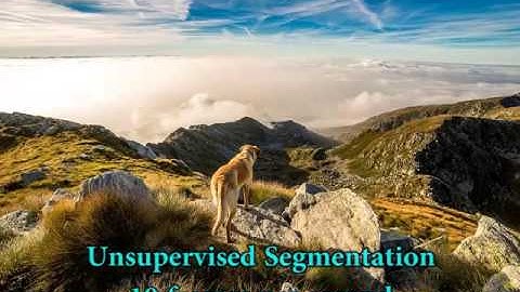 Real-Time Minimization of the Piecewise Smooth Mumford-Shah Functional