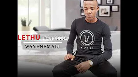 Lethu Mpungose feat. Menzi -  Wayenemali