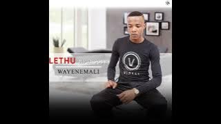 Lethu Mpungose feat. Menzi -  Wayenemali
