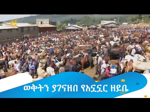 ቪዲዮ: የአኗኗር ዘይቤ፣ ልማት እና የሌቦች መራባት