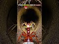 Inside the Ant Colony: Real Micro-Camera POV on a Worker Ant #shorts