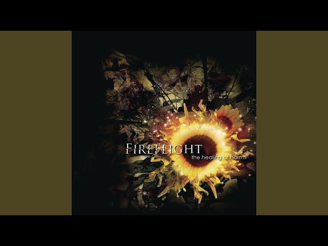 Fireflight - Attitude