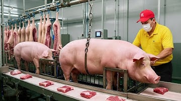 Inside the Pork Processing Factory: From Farm to Sausages & Ham (Full Process)