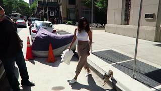 Priyanka Chopra with her dog steps out NYC