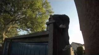 T3M Summer 2010 - Parkour & Freerunning