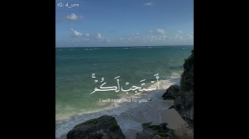 القارئ هزاع البلوشي سورة (غافر)