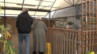 Dignity in Care: Communication