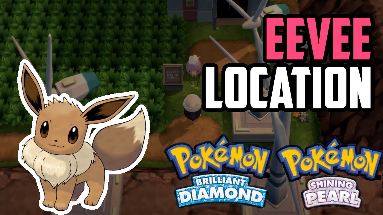 How to get Eevee in Pokemon Brilliant Diamond & Shining Pearl - Dexerto