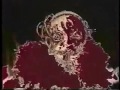 BLAMHONEY - Neluhus Vagus PV