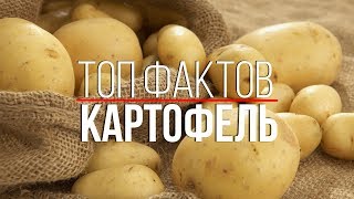 Топ 5 Фактов о Картошке