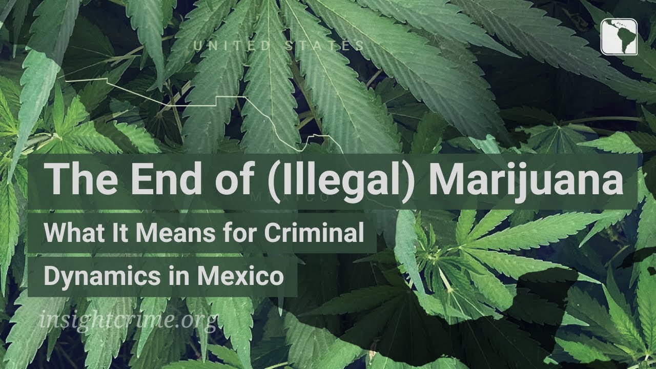 The End Of Illegal Marijuana What It Means For Criminal Dynamics In