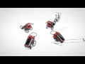 Multisport trailer - Thule Chariot Cross feature video