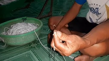 Cao Thủ giăng Câu Sông Tiền Lâu Năm Hướng Dẫn Cách Làm Diền Câu Chuyên Nghiệp # SĂN BẮT ĐỒNG THÁP #