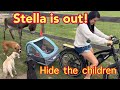 Problems With Stella