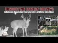 Conducting a camera survey for whitetailed deer