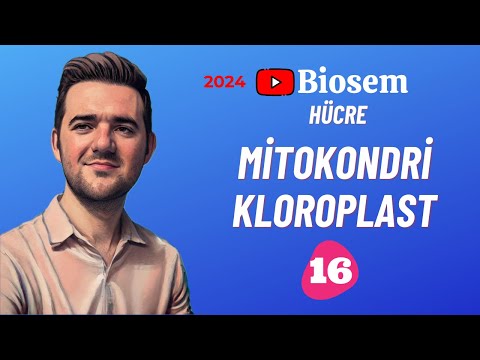 Mitokondri ve Plastitler | 39 Günde TYT Biyoloji Kampı-16 | 9.Sınıf Biyoloji Kampı-16 | 2024