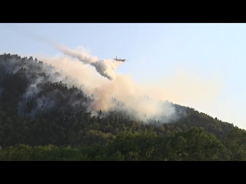 ვახტანგ გომელაური ბორჯომის მუნიციპალიტეტში ხანძრის სალიკვიდაციო სამუშაოებს ადგილზე გაეცნო