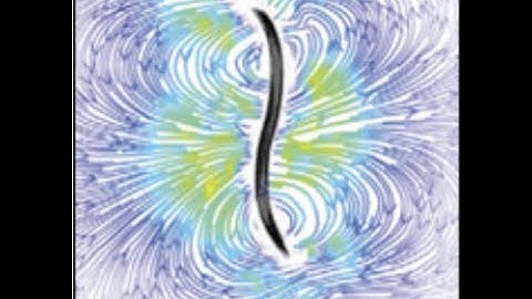 Paulo Arratia - Life in complex fluids - BPPB