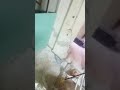 18 7 2025 جمعة عادي سياحة نياحة وين المشكلة اذا اسمناها نصين 18 7 2025 جمعة عادي سياحة نياحة وين المشكلة اذا اسمناها نصين