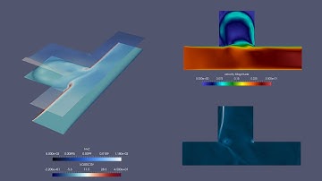 Suimulation of the resonant flow in a lateral cavity
